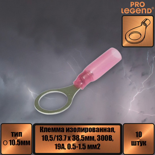 PL2946.jpg