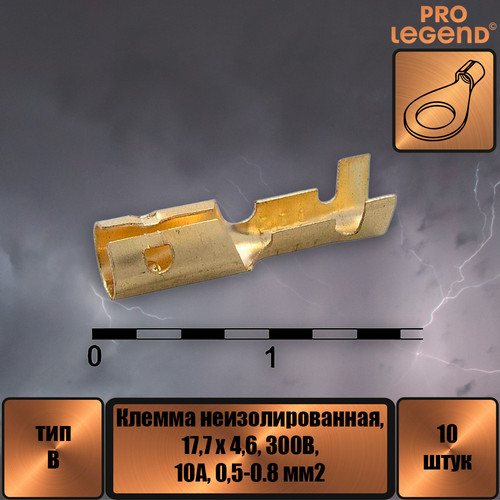 PL2928.jpg