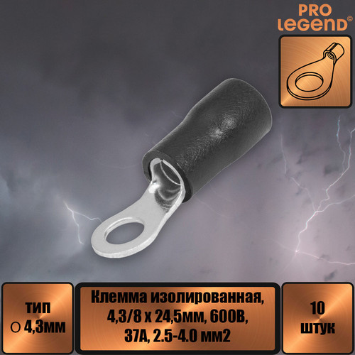 PL2961.jpg
