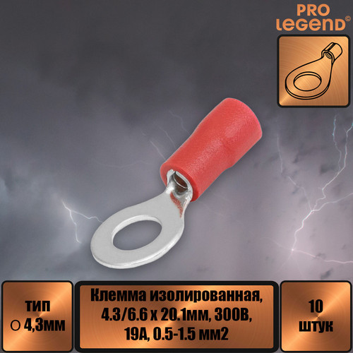 PL2974.jpg