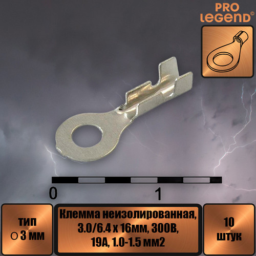 PL2981.jpg