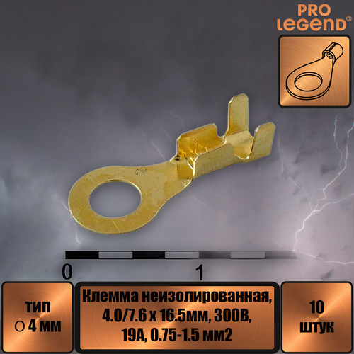 PL2982.jpg