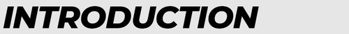 INTRODUCTIONjpg.jpg