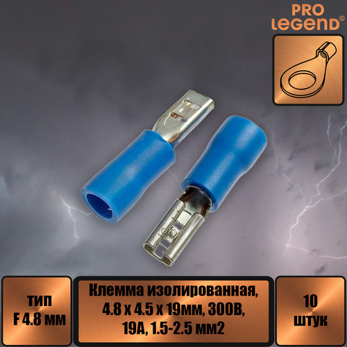 PL2995.jpg