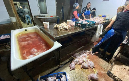 rsIZqoGA41k6SMKwjWCBNDqoAFbSpgTfPAOzTsM21wbo3nEamc7AKy WudHGAKy DvvtRyrIZ4PfpNUMQjt9iWdbgCLkOTQe qXl.jpg