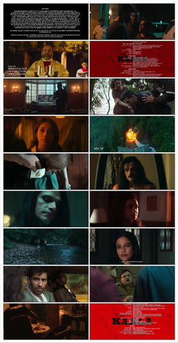 IMG 20251123 143823.jpg