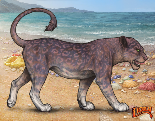 lioden wardrobe (78).png