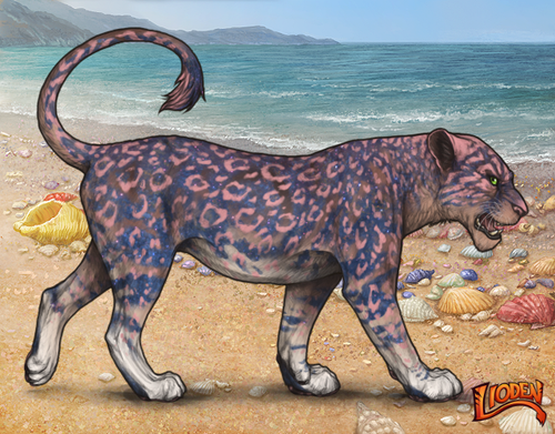 lioden wardrobe (79).png