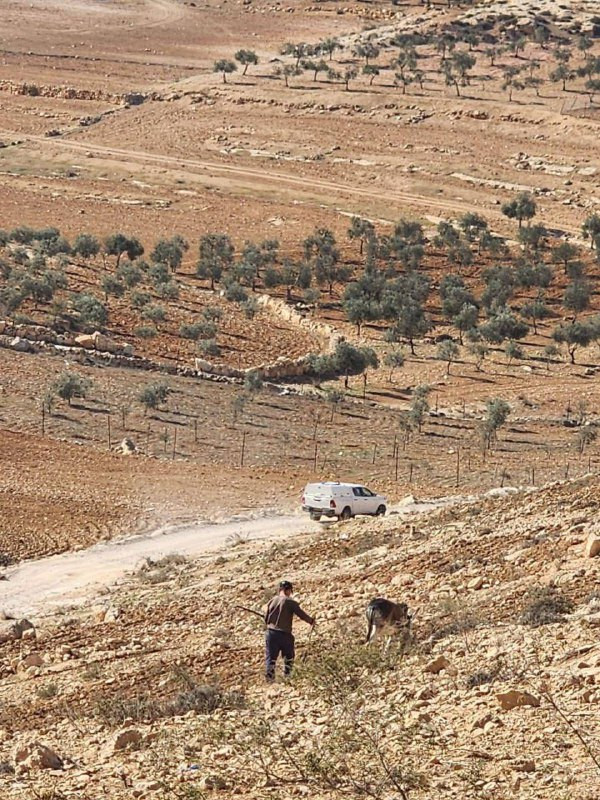 قوات الاحتلال اعتقلت المواطن خليل اسحاق الجبارين وصادرت حماره أثناء حراثة أرضه في شعب البطم....