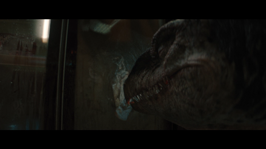 vlcsnap 2025 11 23 21h17m23s838