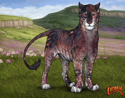 lioden wardrobe (68).png