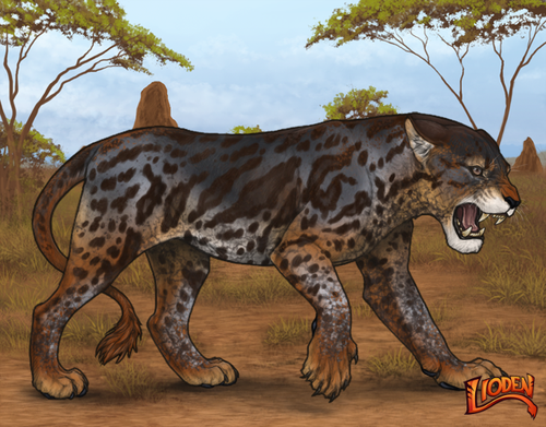 lioden wardrobe (72).png