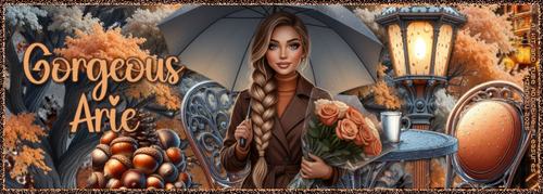 usArieNovemberRainForumMzAne2u vi.png