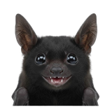 image removebg preview (1).png