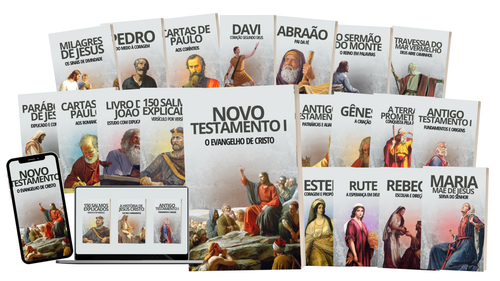 Capa de Livro Biografia Minimalista Cinza e Vermelho.png