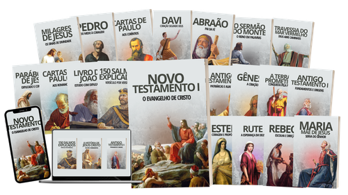 Capa de Livro Biografia Minimalista Cinza e Vermelho (1).png