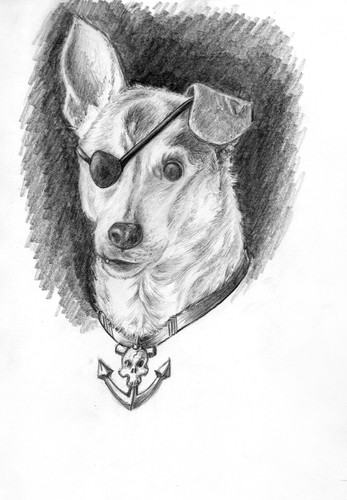 img20230919 09532356.jpg