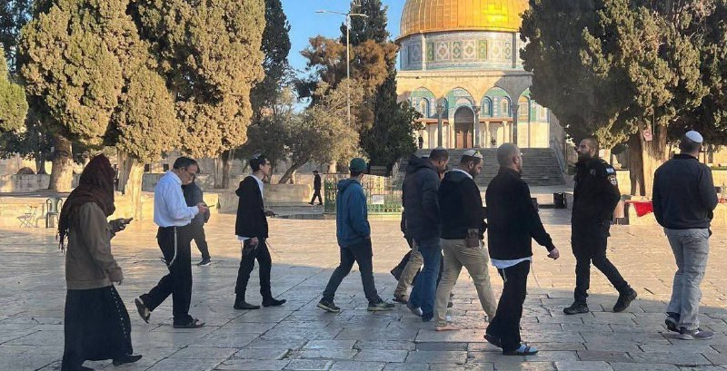 اقتحم 224 مستعمرًا المسجد الأقصى خلال فترتي الاقتحامات الصباحية والمسائية التي فرضها الاحتلال كأمر واقع، فيما بلغ عدد السيّاح الذين دخلوا إلى المسجد ا...