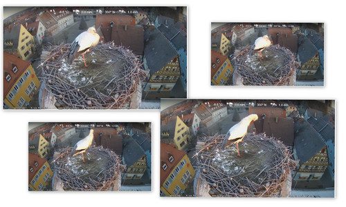 Bilder.jpg