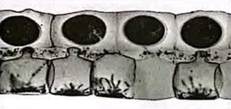 Screenshot (102).png