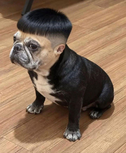 585076843 2116940165511218 1331526730426755635 n.jpg