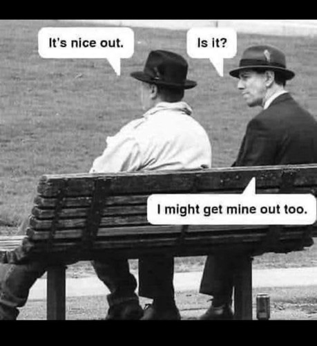 599951347 10164249248201971 8311346823742527085 n