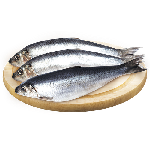 2167648 390255 СЕЛЬДЬ АС ТИХООКЕАНСКАЯ СОЛЕНАЯ КГ.png