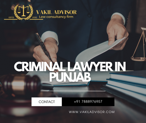 Criminal Lawyer in Punjab (2).png