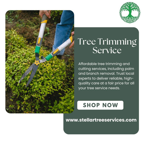 stellartreeservices.jpg