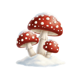 32
