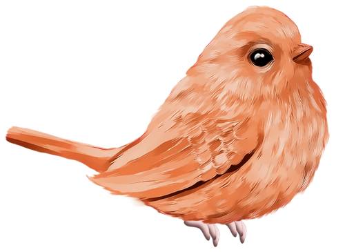 48.png