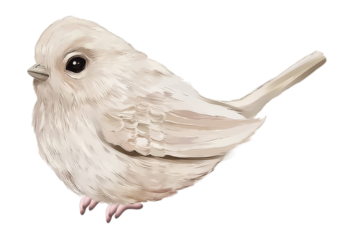 49.png