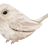 49