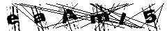 test.jpg