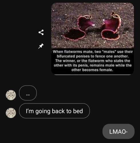 1000021976.jpg