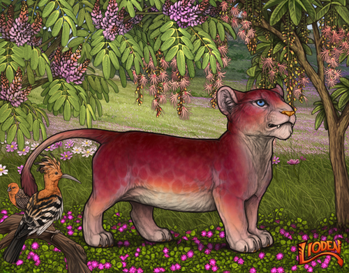 lion 794242118438.png