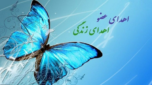 hNVO hQkvSHchsrhc6tdx4xgmgRwBaKR4rkD yUdme1TNFIKiHe2j9kzbIYRgaEvGZSxbnzhuRRLpk1ubX1ivAm3k2JpYnsRsD Q.jpg