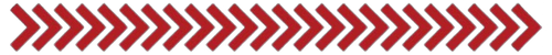 1000008829.png