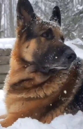 WeT4YZaK43gOGfy3.jpg