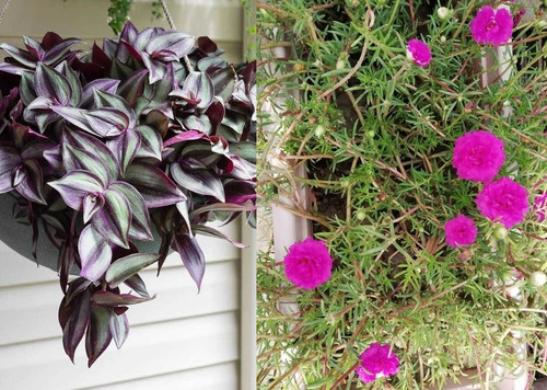 imgonline com ua twotoone Z4OQrZzP68.jpg