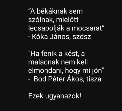 G8vXytxXEAAEjGp.jpg