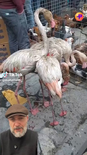 H6FYeUYBJF1HKcUe.jpg