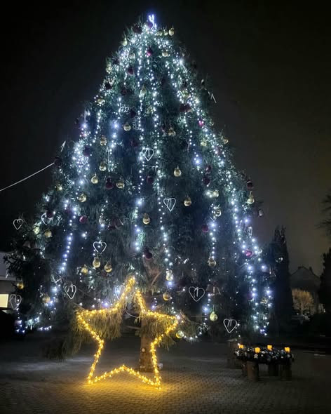 602914245 1432958892167271 986498560110737177 n.jpg?stp=dst jpg s590x590 tt6& nc cat=108&ccb=1 7& nc.jpg