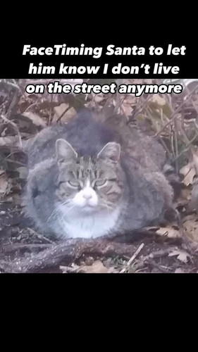 rWpxK5FB79SK w0q.jpg