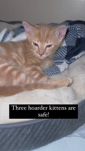 a3jtpRH4eo6H5Vyt.jpg