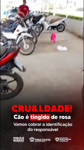 89DlXudjsXxhlWc1.jpg