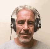 epstein meme.gif