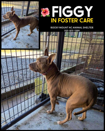 G8nhmg W8AEOfK2?format=jpg.jpg