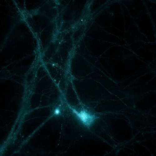 V 6pZmlbmh0ryipz.jpg