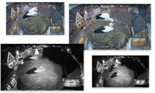 Bilder4.jpg